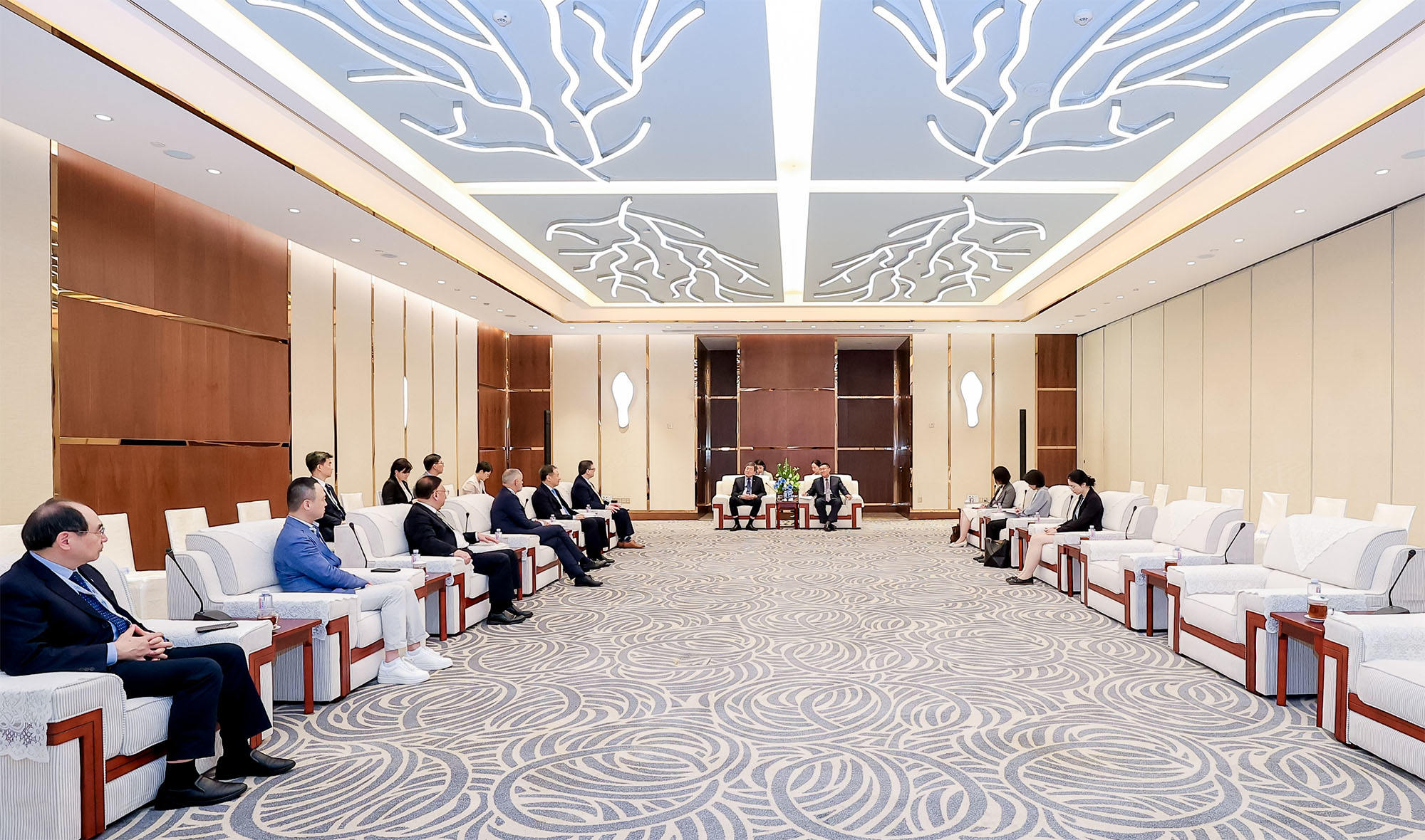 中国文化和旅游部副部长卢映川会见世界旅游联盟领导集体